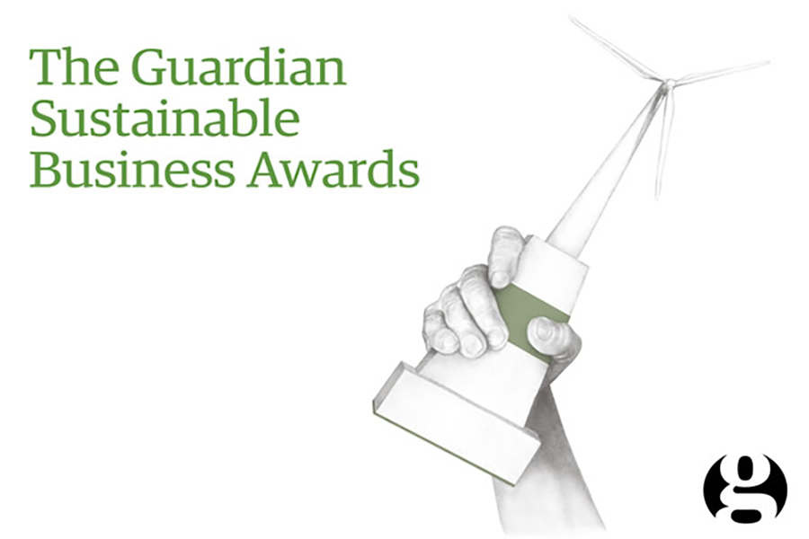 The Guardian Sustainable Business Awards